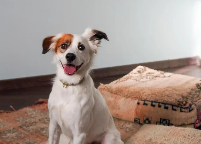 Worknomads Lab Hotel Sofia