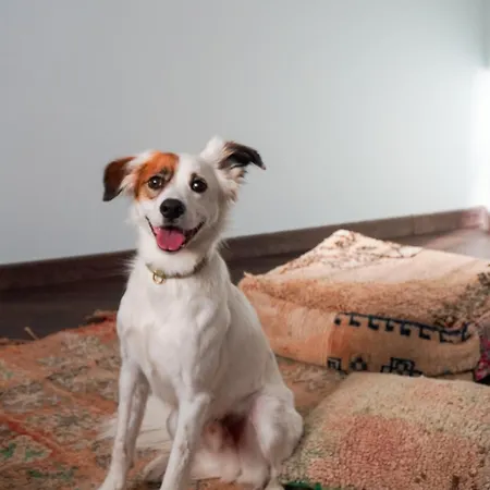 Worknomads Lab Hotel Sofia